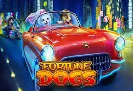 Fortune Dogs Habanero Slot Casino Indonesia