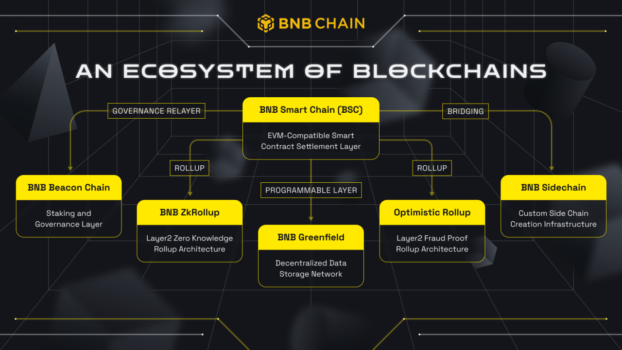 An illustration depicting the ecosystem of blockchains within the BNB chain.