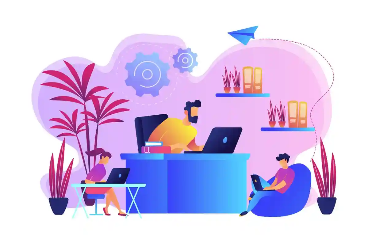 Freelance WordPress Developer