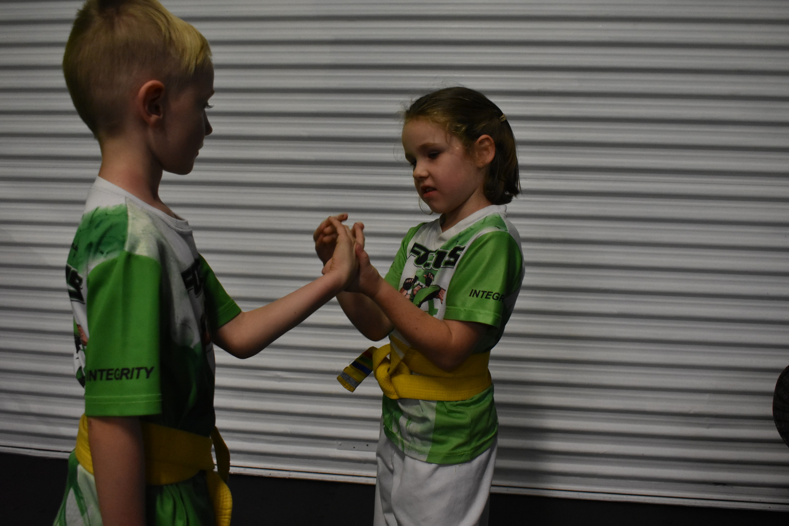 Martial arts encompass wide rage of skills that contribute to both physical prowess and mental development.