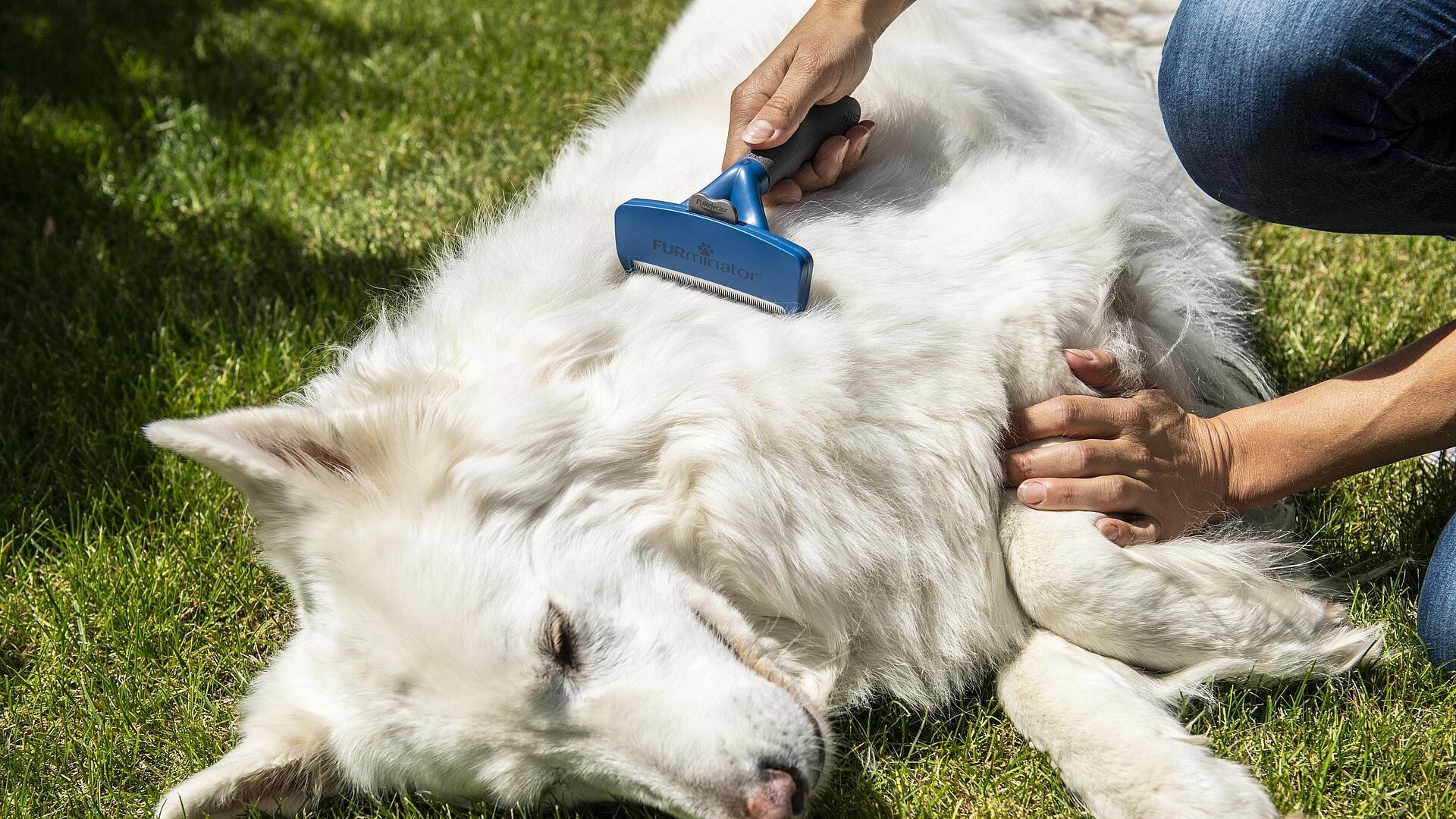 FURminator Longhair Dog Undercoat deShedding Tool Review