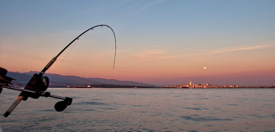 fishing sunset photo