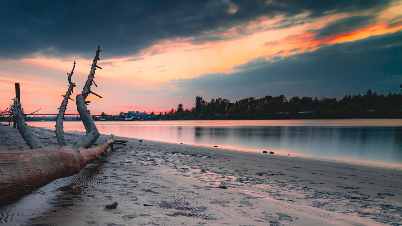 Beach in Langley BC - Picture by eachmich https://www.canva.com/photos/MADZoQKILVk/