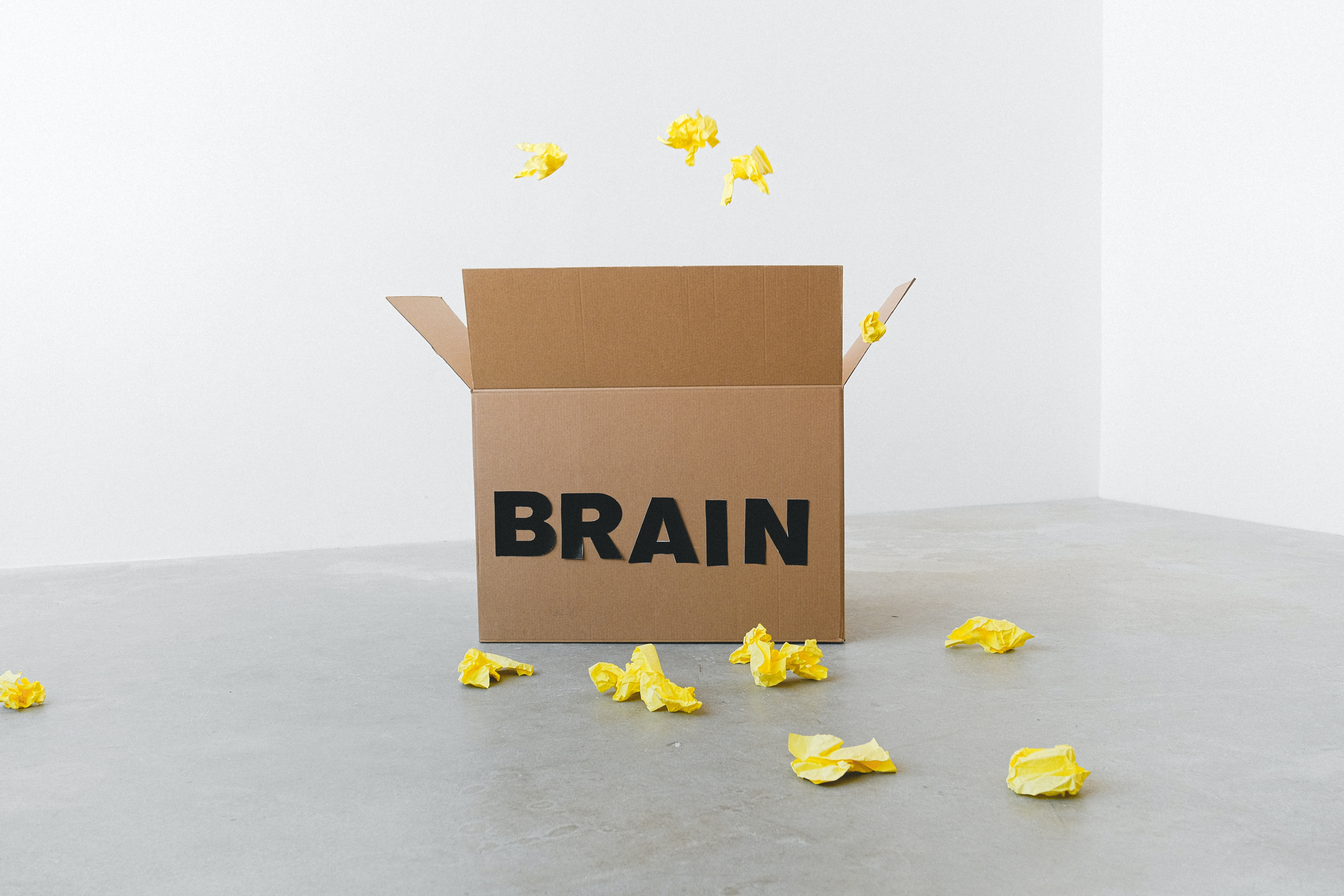 St. John's Recovery Place can Help You and Your Brain Heal