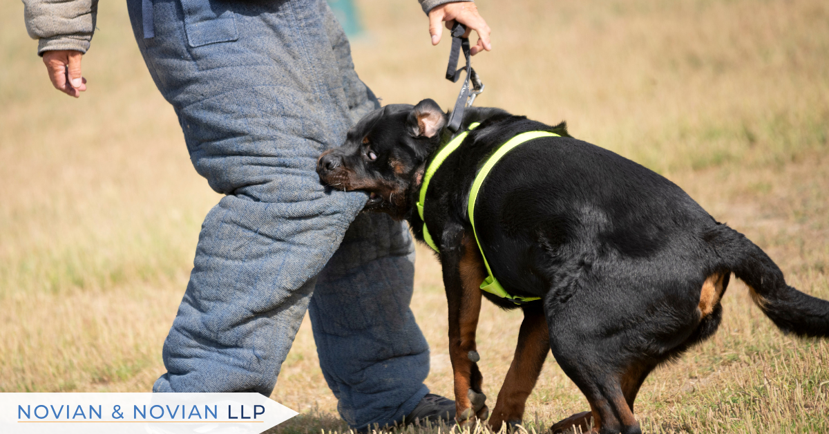 How Does California Law Protect Dog Bite Victims?