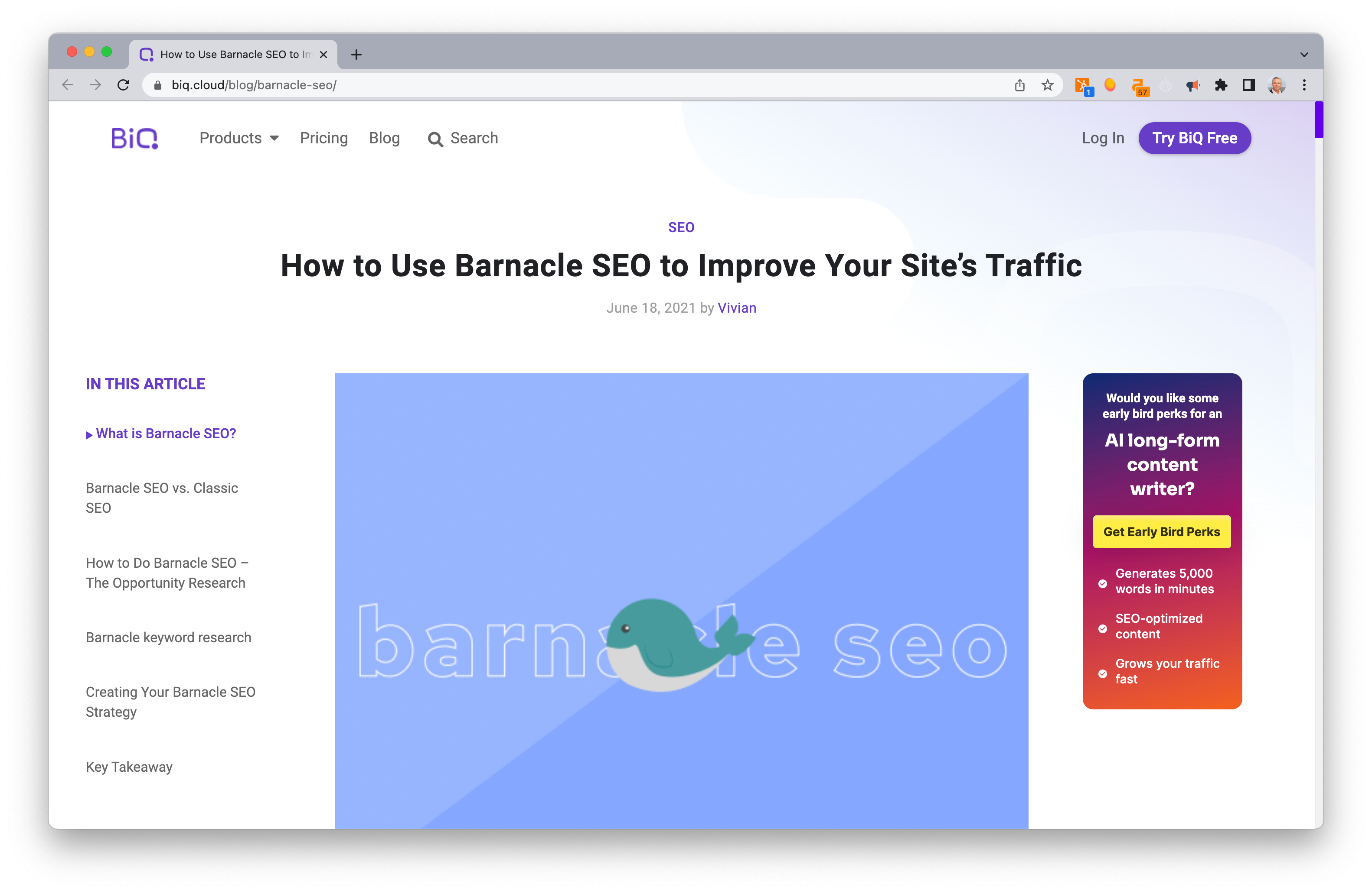 Screen Shot: Barnacle SEO: A Powerful Strategy to Rank Higher on Search Engines