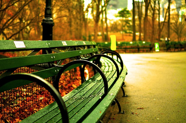 central park, new york city, benches