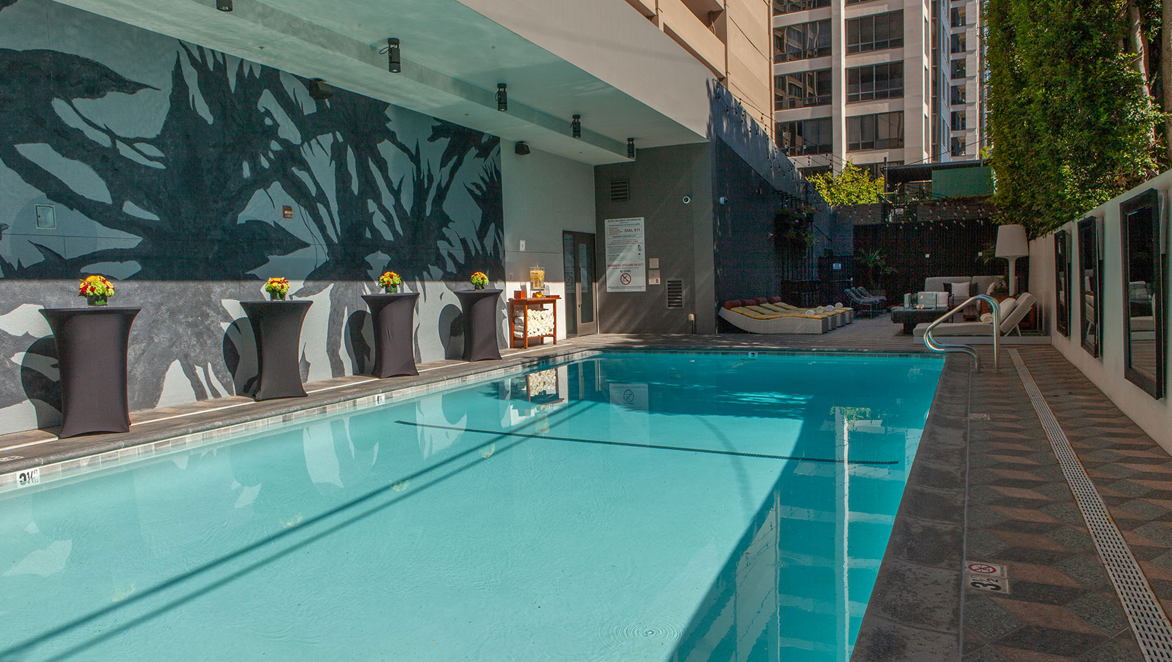 Image sourced from the Hotel Palomar at: https://www.hotelpalomar-beverlyhills.com/boutique-hotel-photos-beverly-hills/#pool