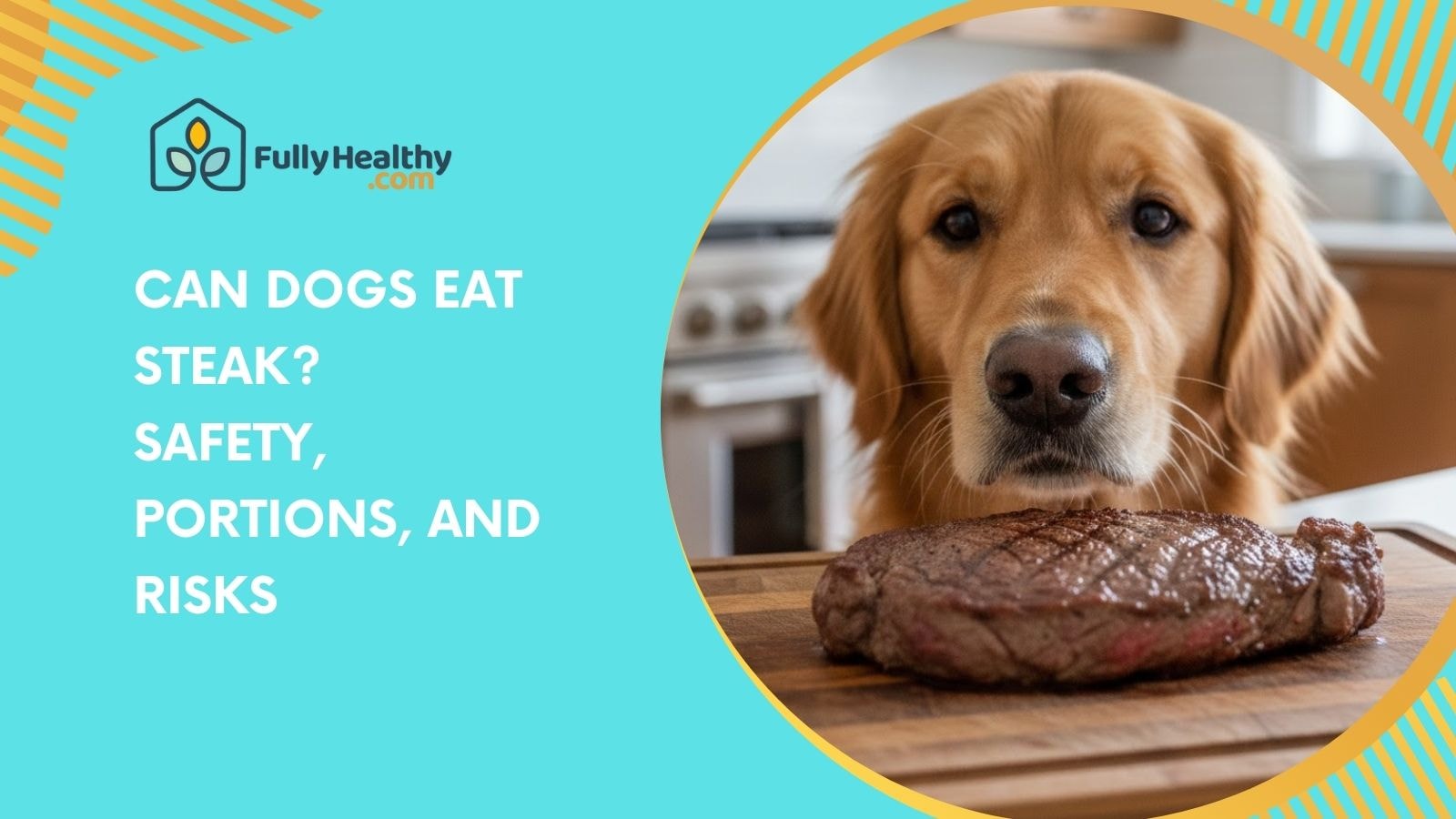 Can Dogs Eat Steak? Safety, Portions, and Risks