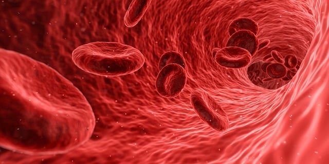 A graphical image of red blood cells in the bloodstream.