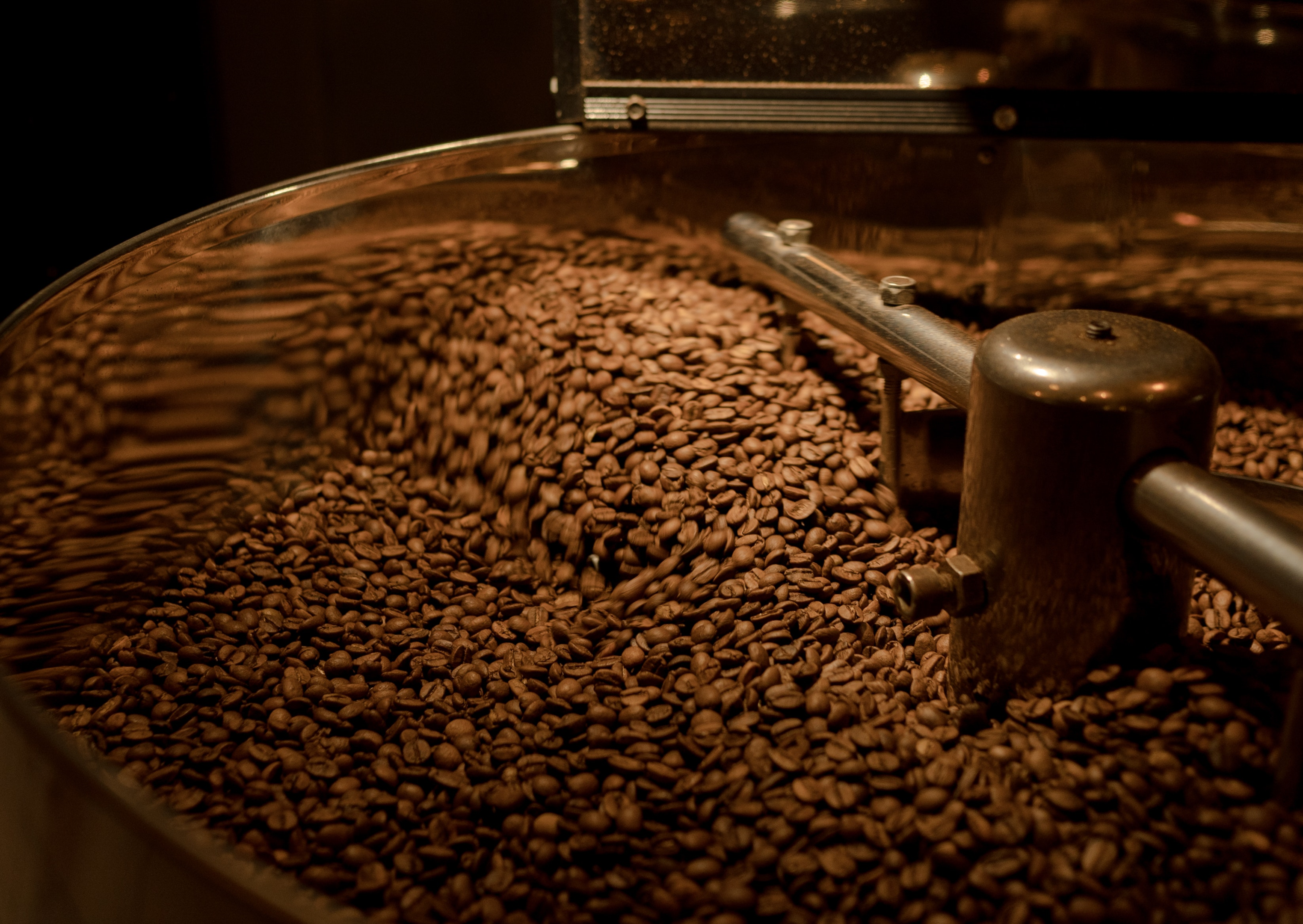 roasted coffee beans in a roaster