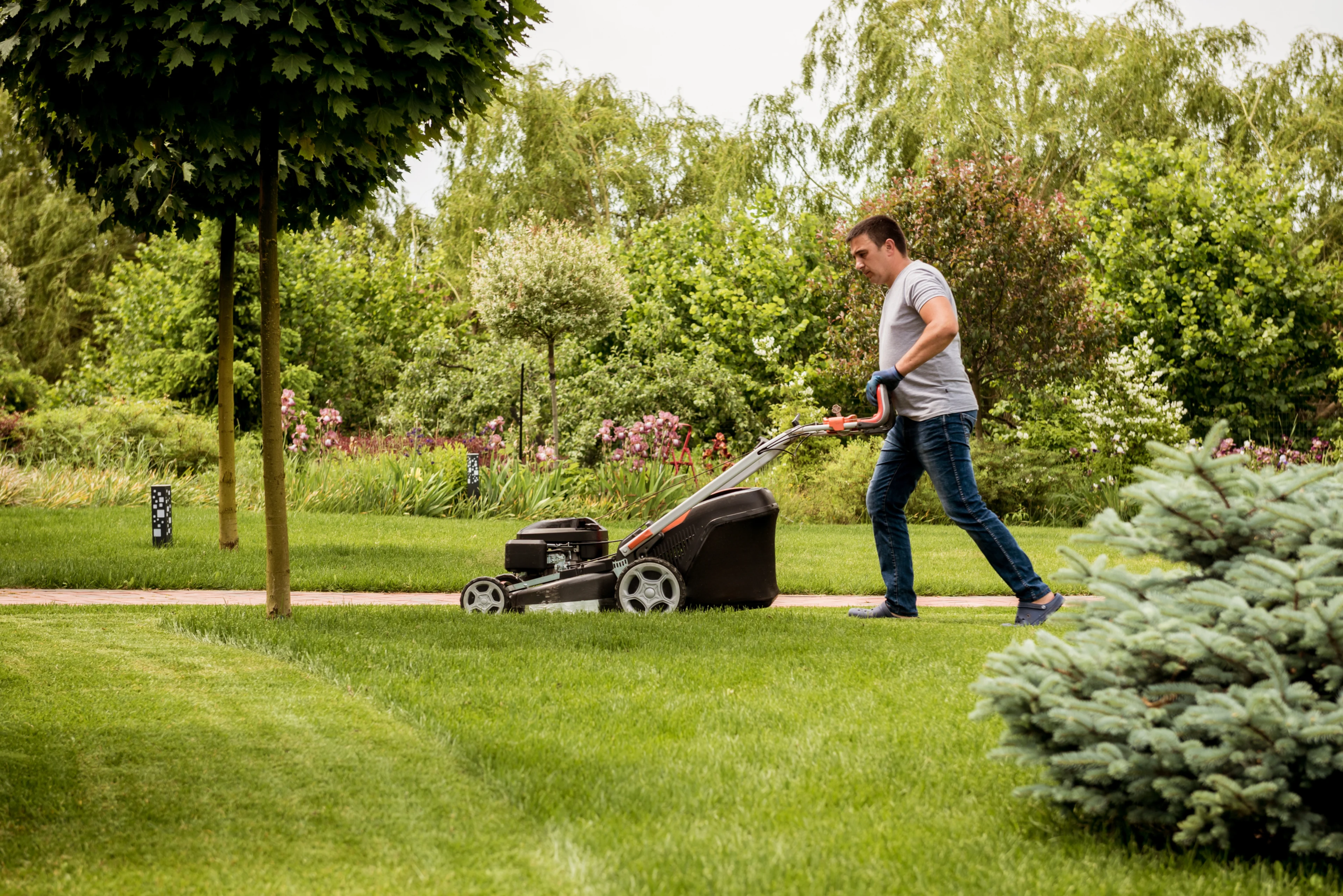 How to make money in one hour: Yard Work