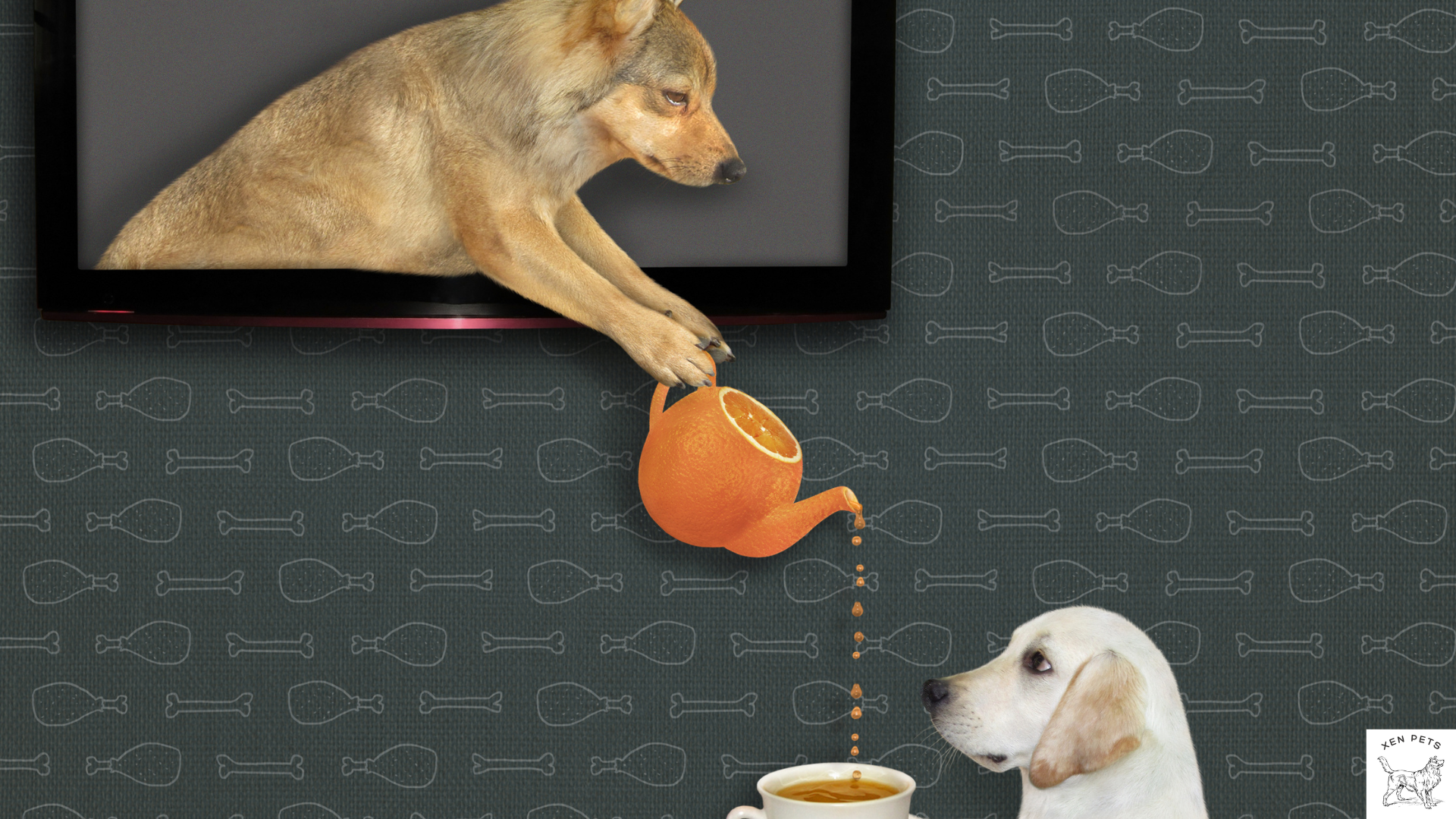 dogs drinking tea