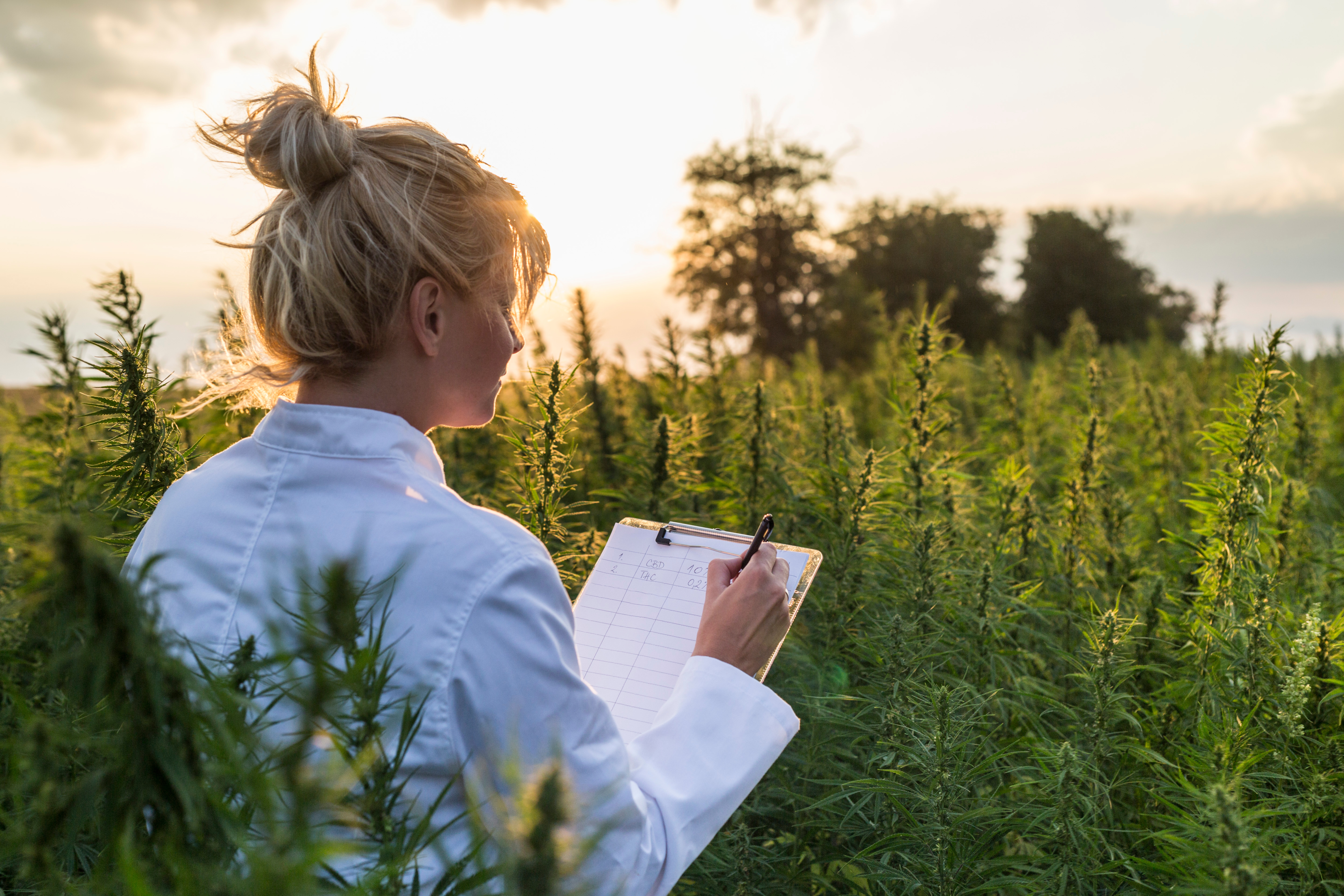 Women in the business of cannabis offers fresh perspectives and approaches. Women Grow is a business designed to help women get into and advance within the industry.