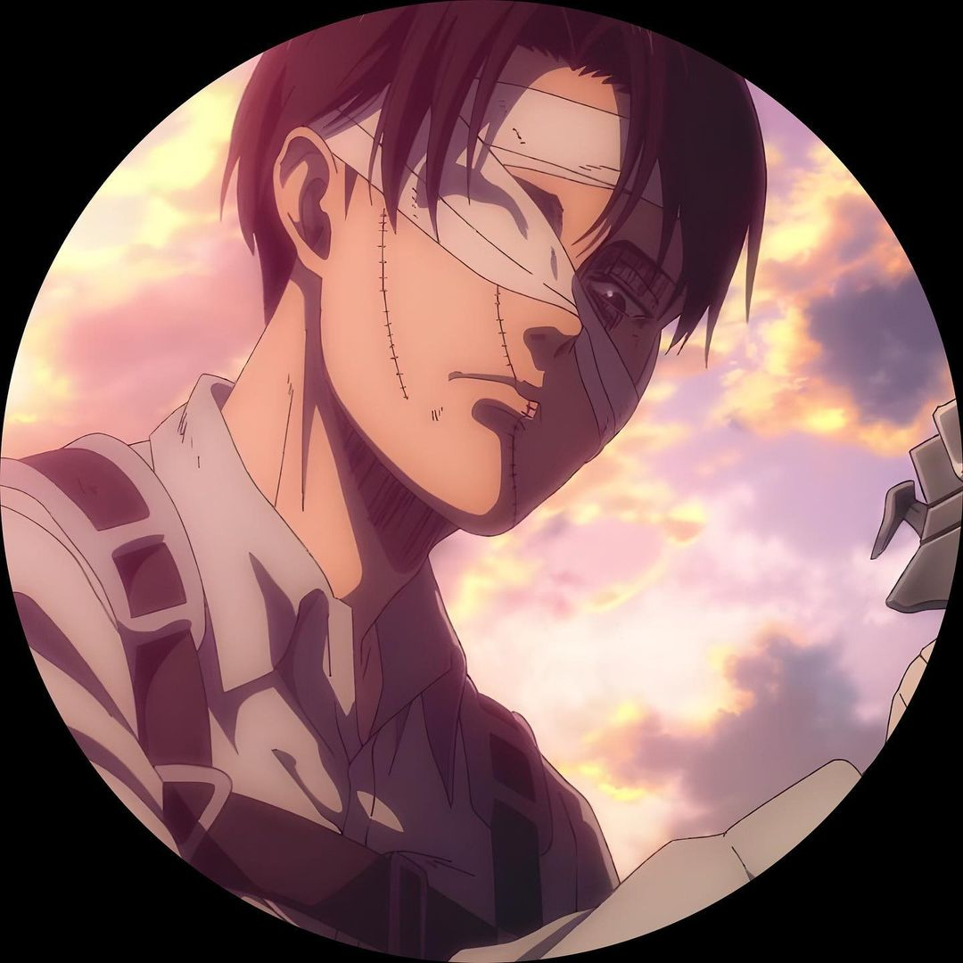 Levi Ackerman PFP