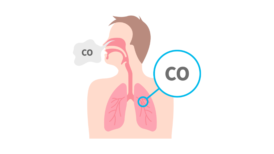 Carbon Monoxide (CO)