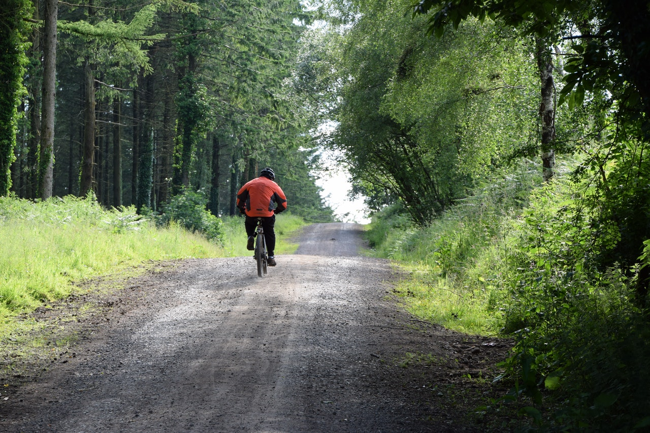 The Best National Parks and Trails in Kodak, Tennessee