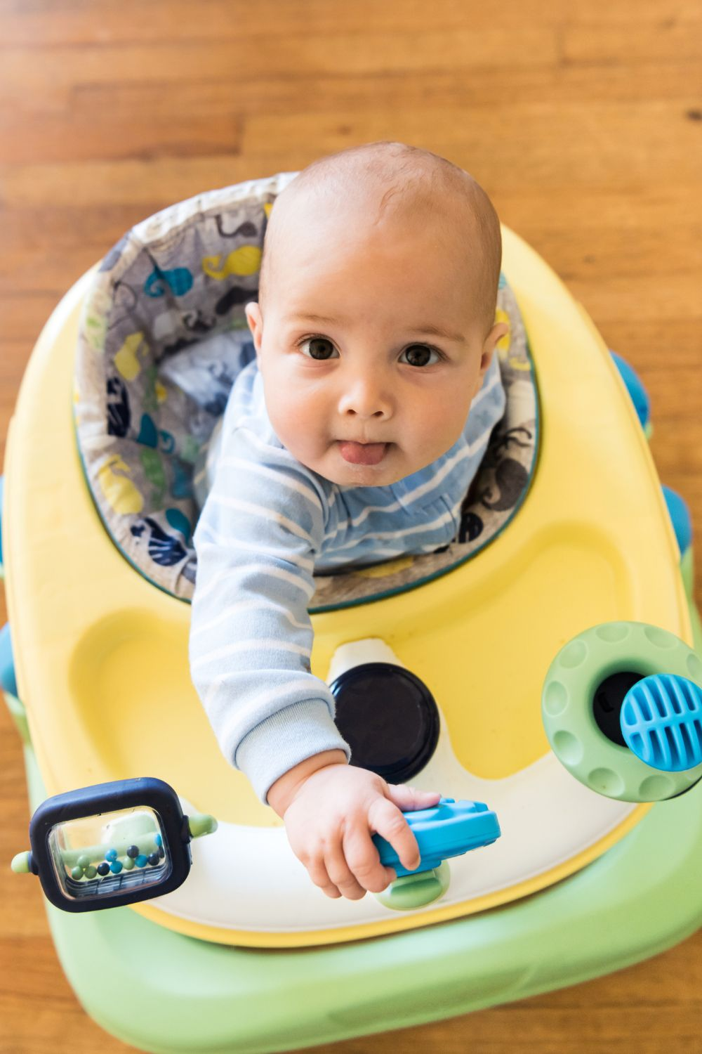 Adorable baby in a walker