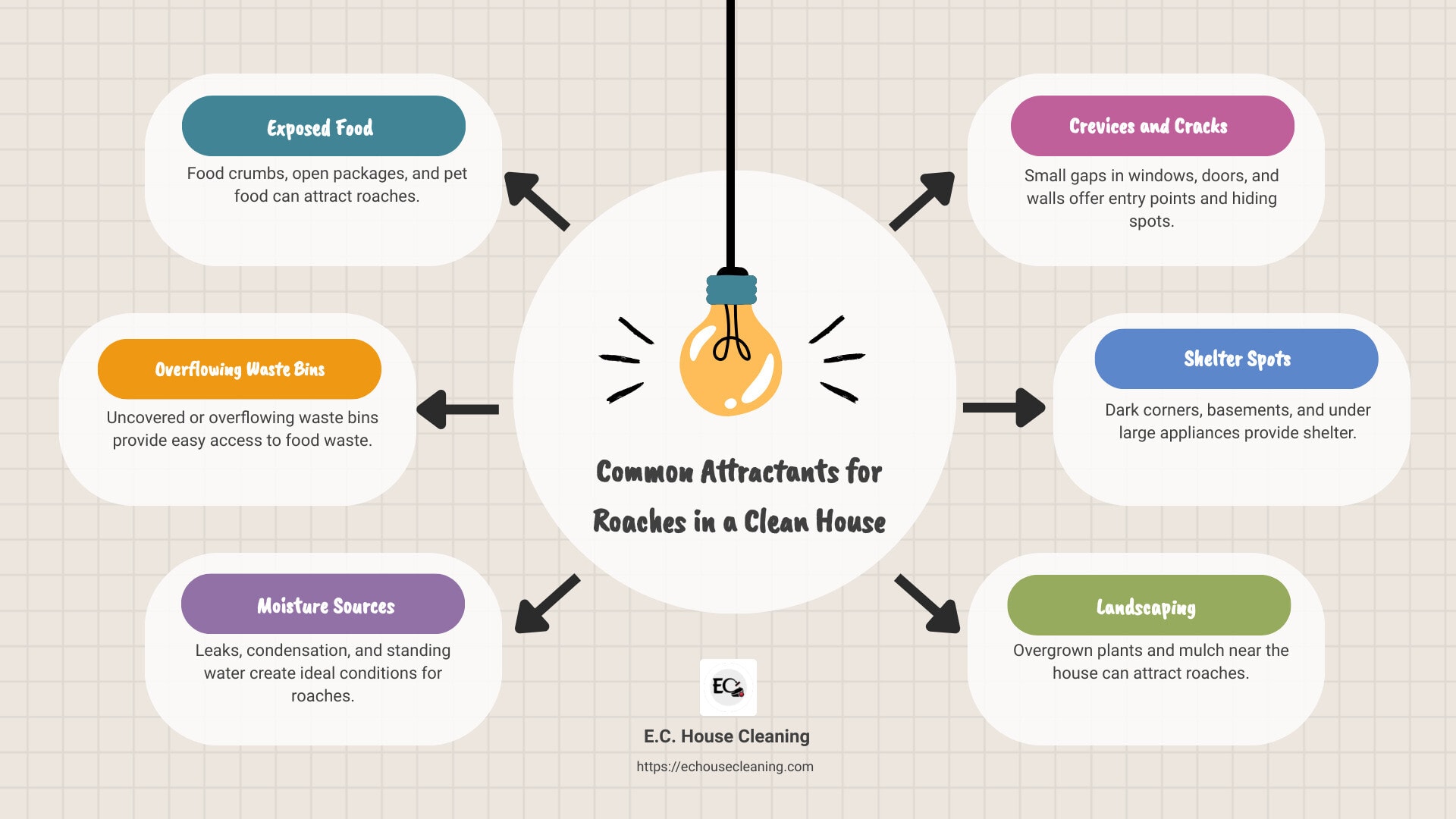 roaches infographic - what attracts roaches in a clean house infographic brainstorm-6-items - attract cockroaches