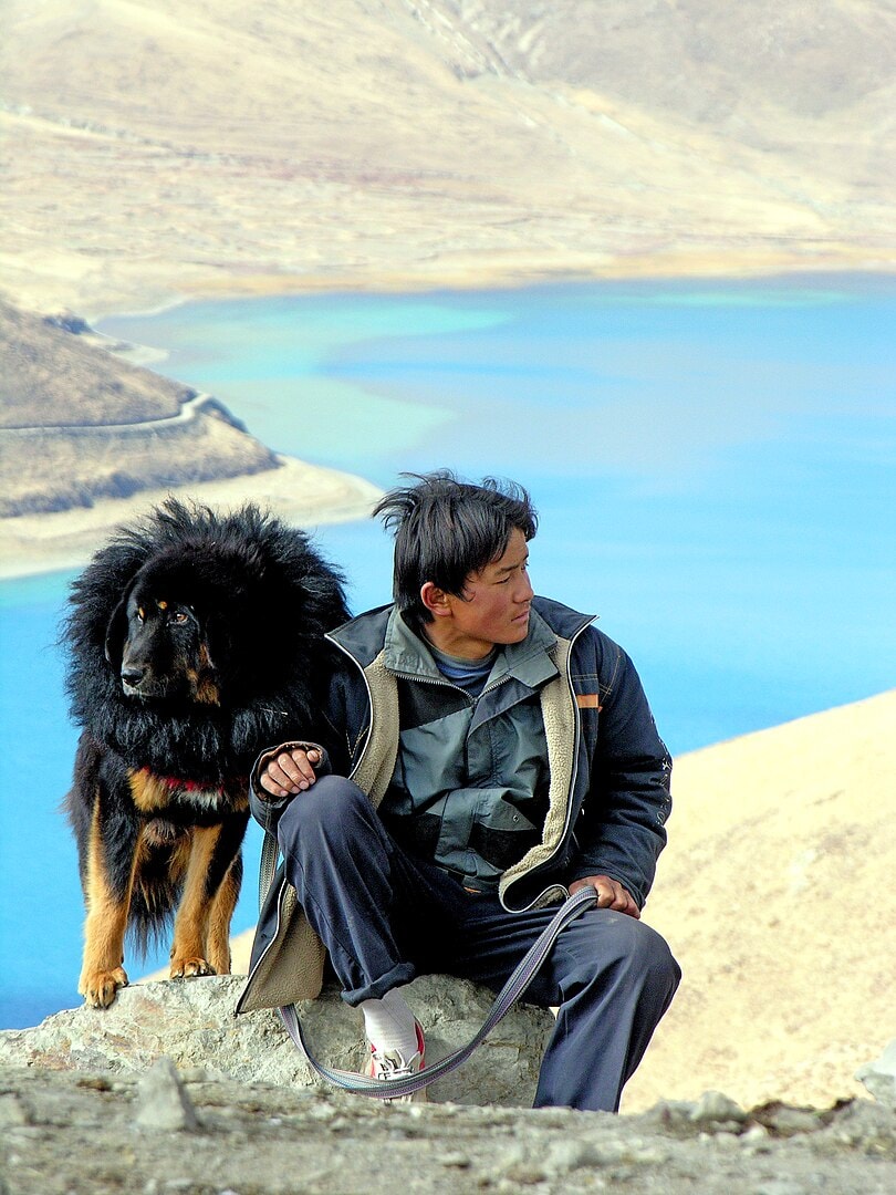 a tibetan man with its dog - a tibetan mastiff. wikipedia