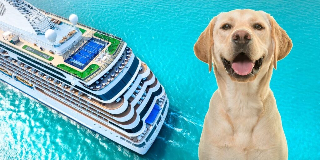 Dog Friendly Cruise Ships