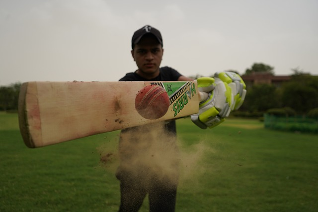 cricket, sports, player