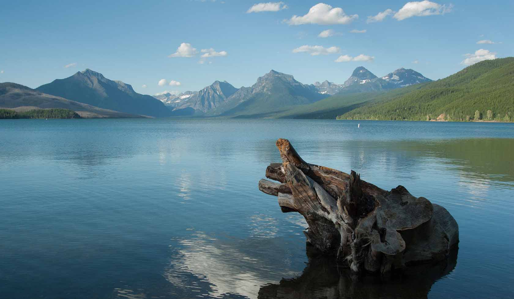 glacier park, from the north end to the east shore or whitewater paddling will be an adventure, paddle boarders may find a sandy beach, rocky cliffs or majestic bighorn sheep