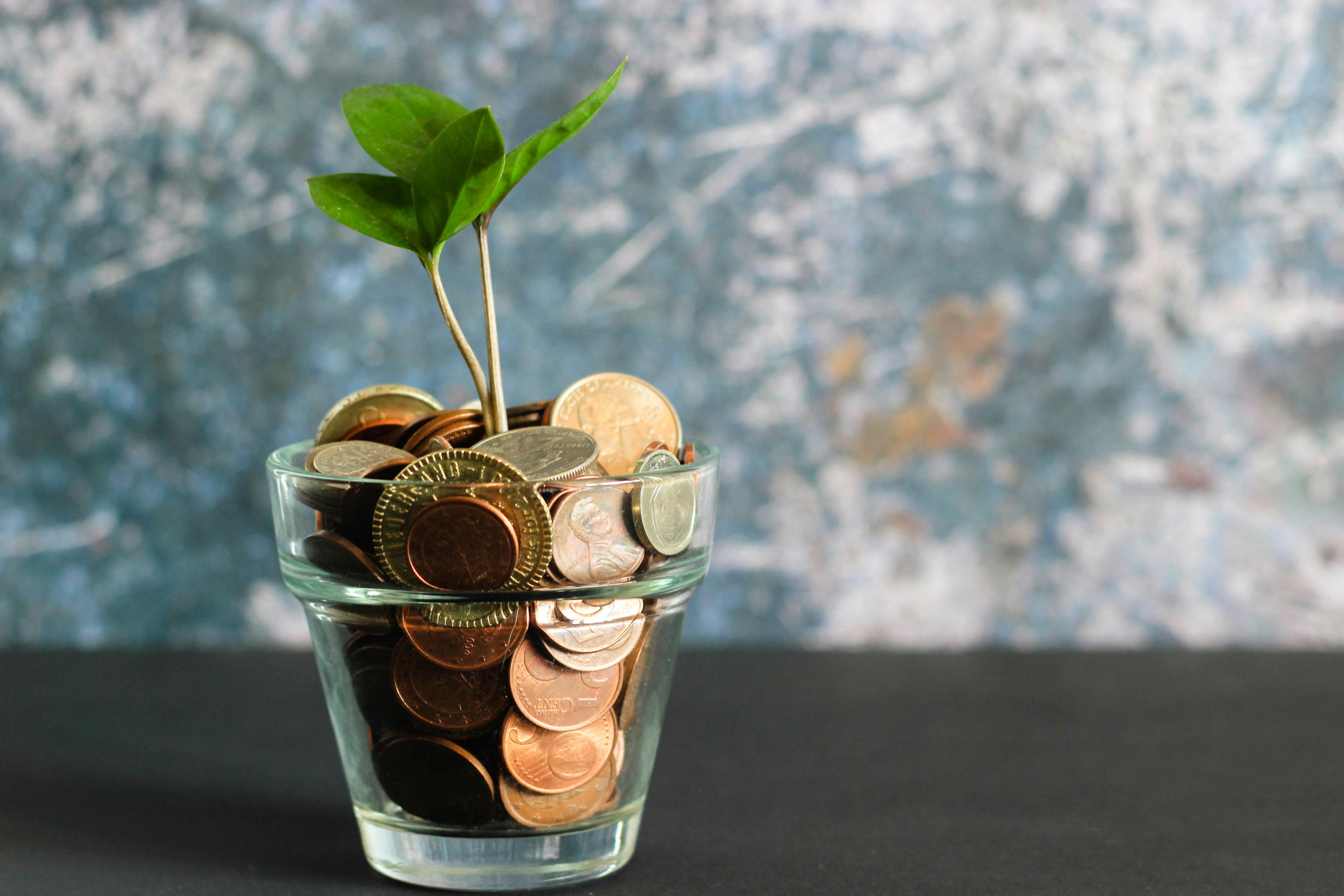 Clear jar filled with coins growing a small plant, signifying growth through proper financing.