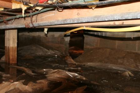 Crawl Space Encapsulation