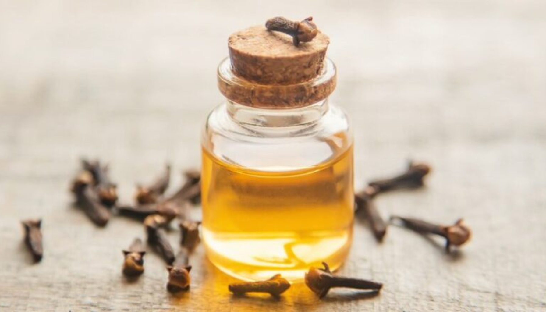 Liten glassflaske med nellikolje og tørkede nellikspiker på trebord.