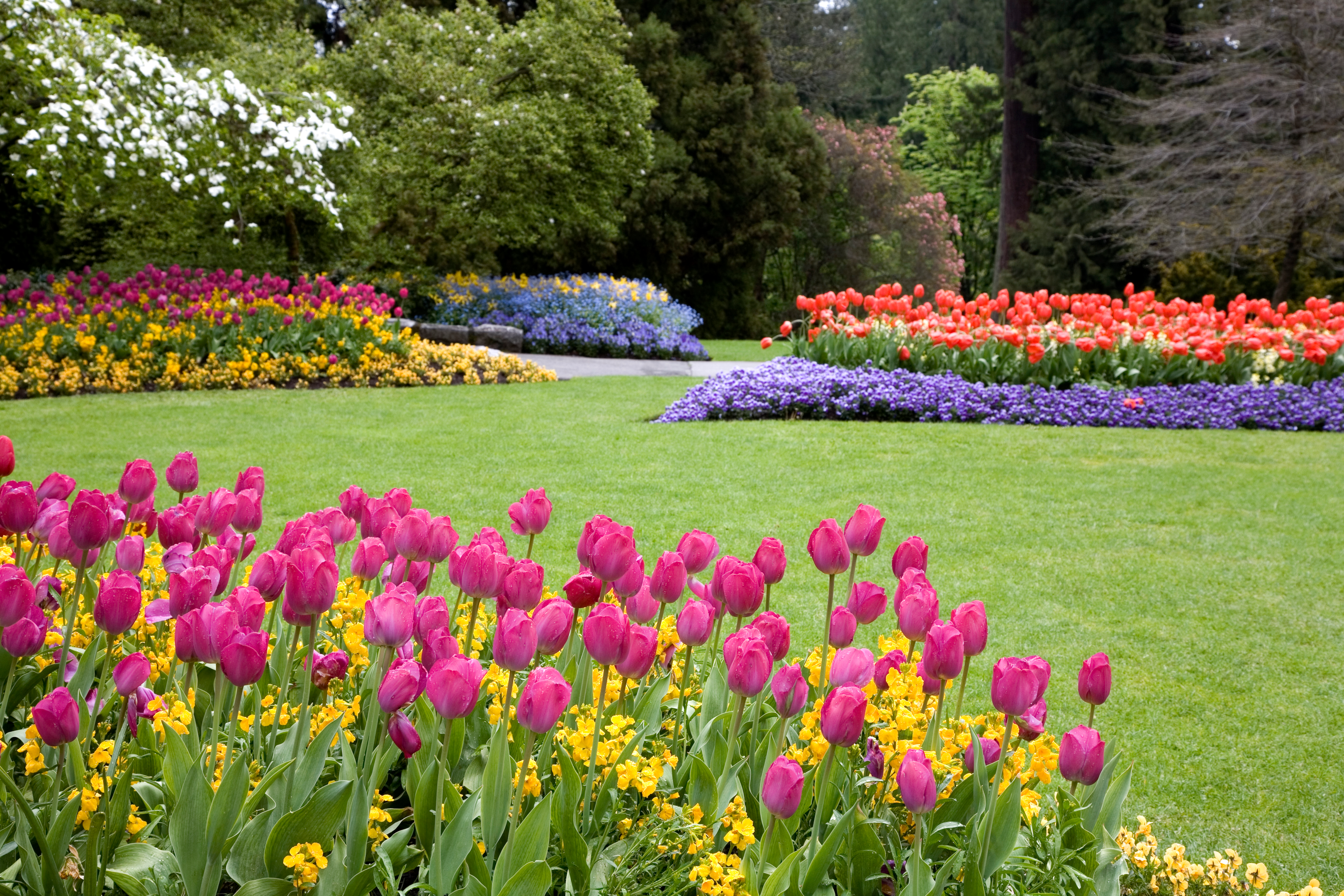 Colorful garden with flowers and a green lawn