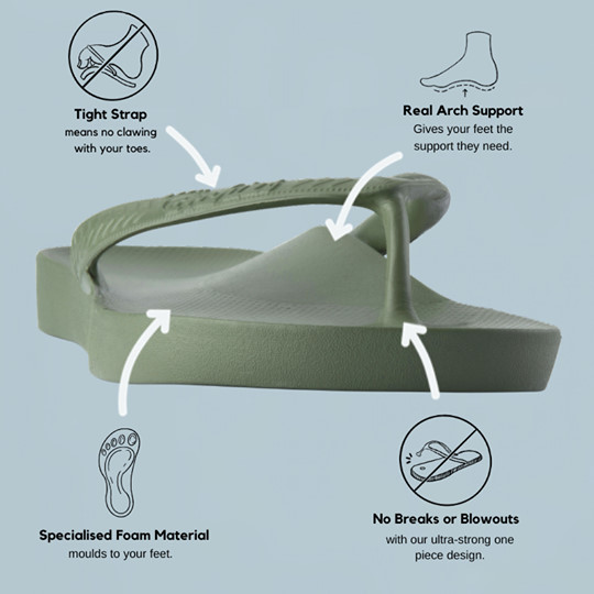 Anatomy of the plantar aspect of the foot demonstrating the bands