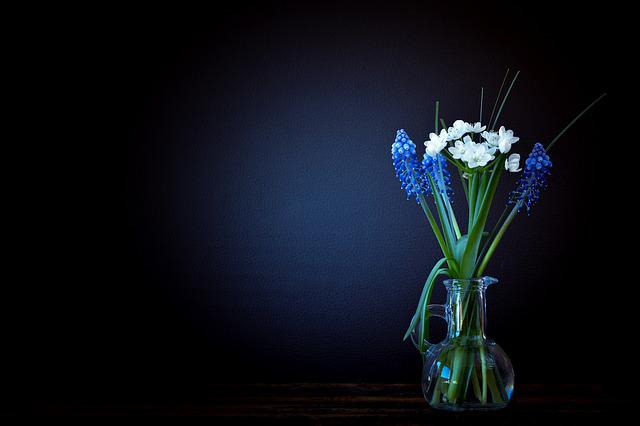 flowers, vase, glass