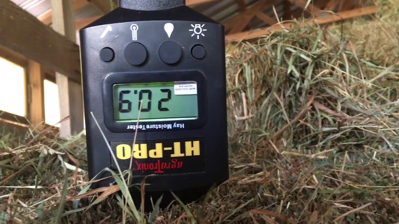 A hay moisture tester being used to accurately measure the moisture content of hay.