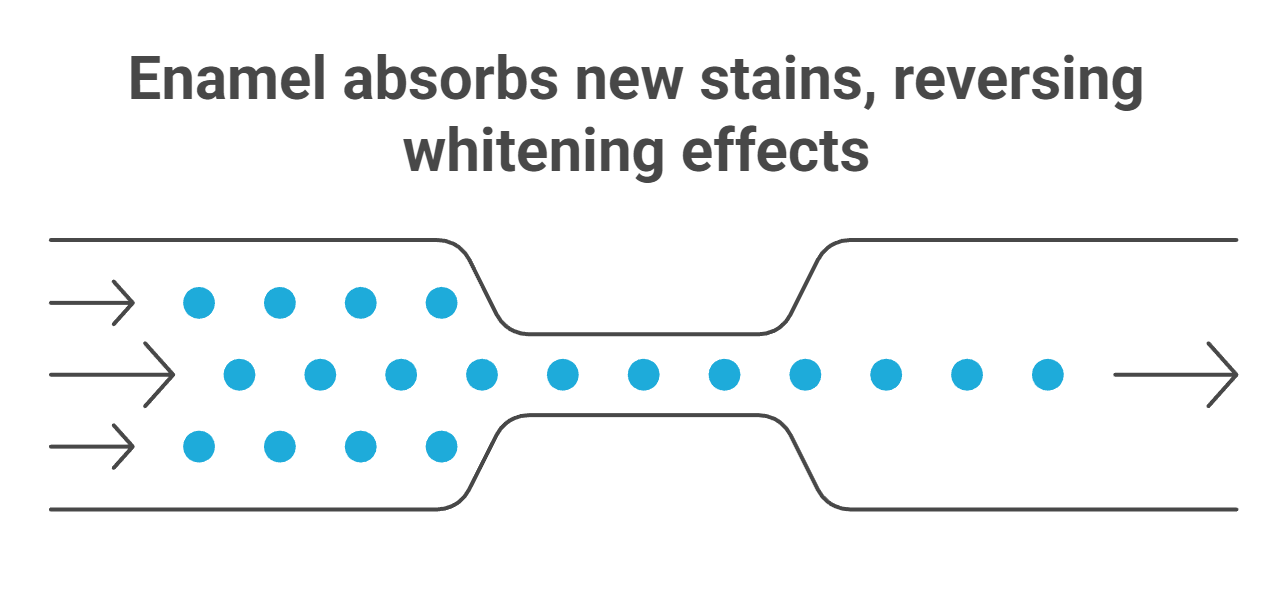 Why Whitening Fades: What Science Really Says