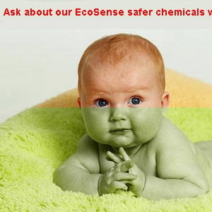 carpet cleaning loudoun county va