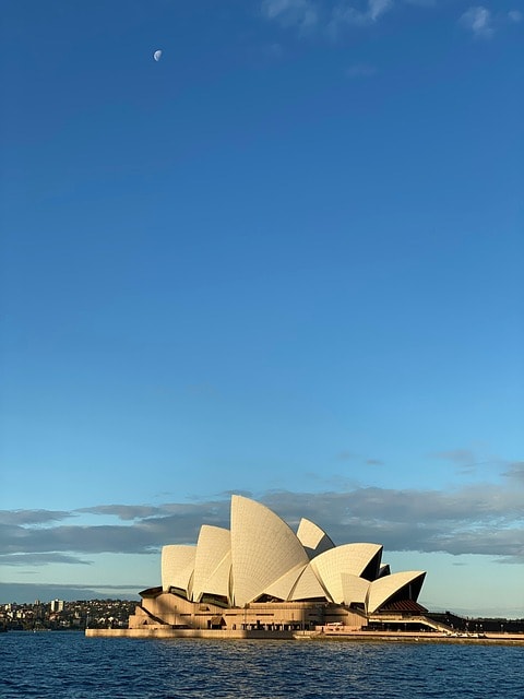 sydney, nature, australia, sun