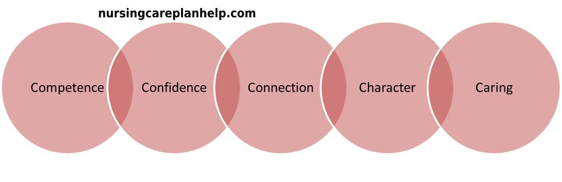 Wonderful What Are The 5 C s Of Caring Care Plan