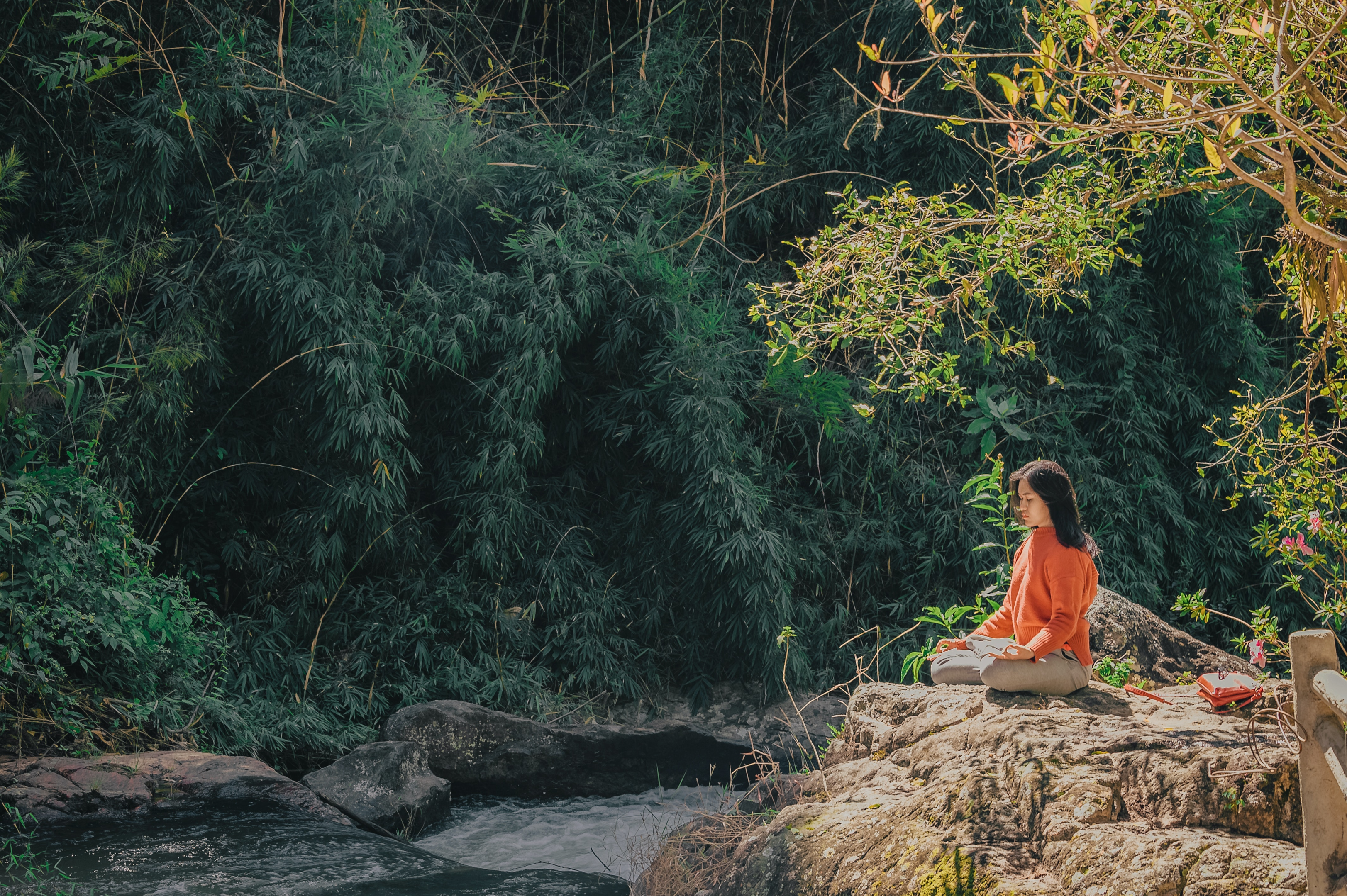 The Meditative Approach Allows for Deeper Understanding
