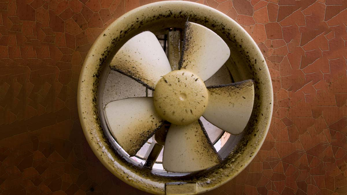 Clean the exhaust fan blades