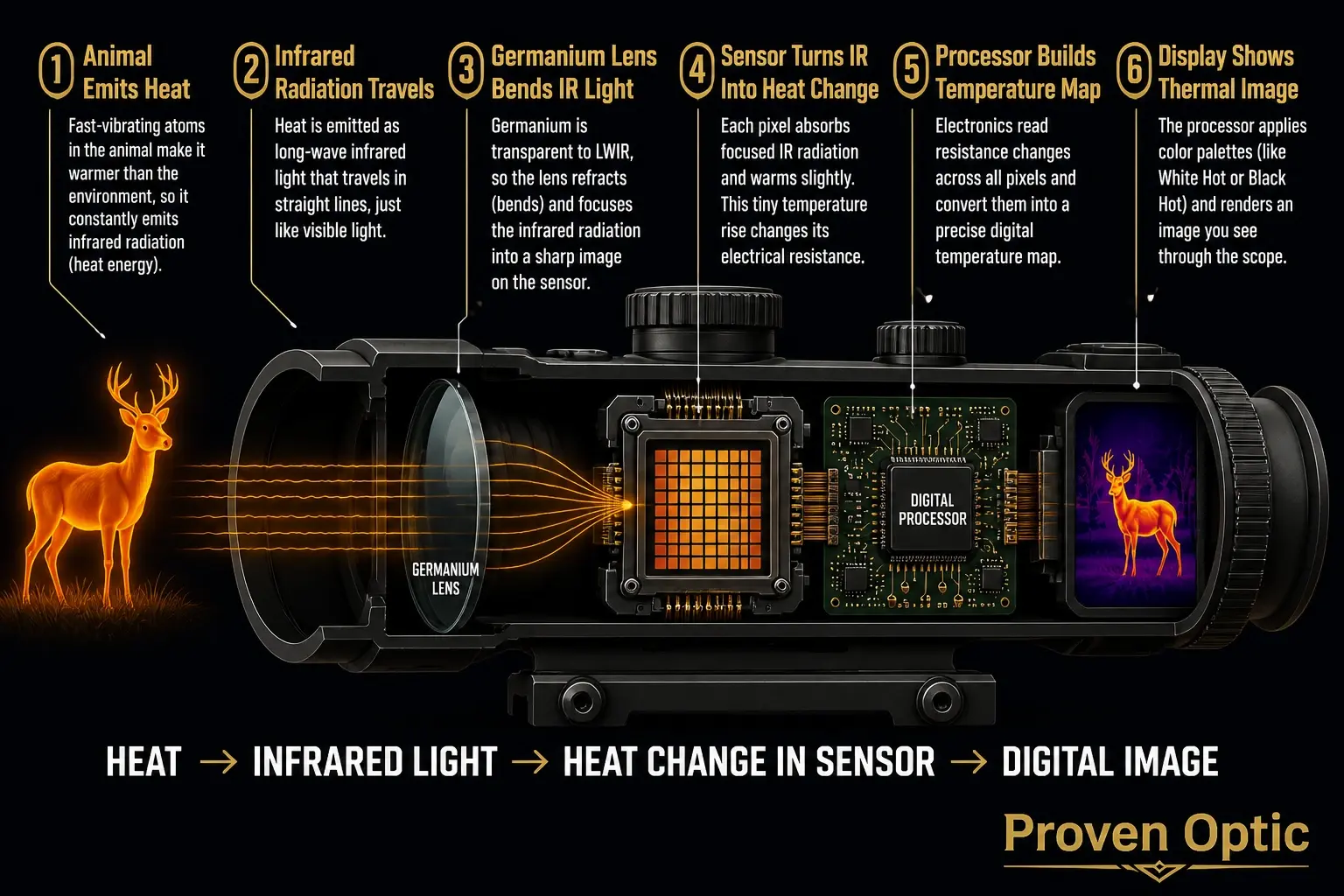 A graphic showing how heat and IR light work to make an image on the thermal screen.