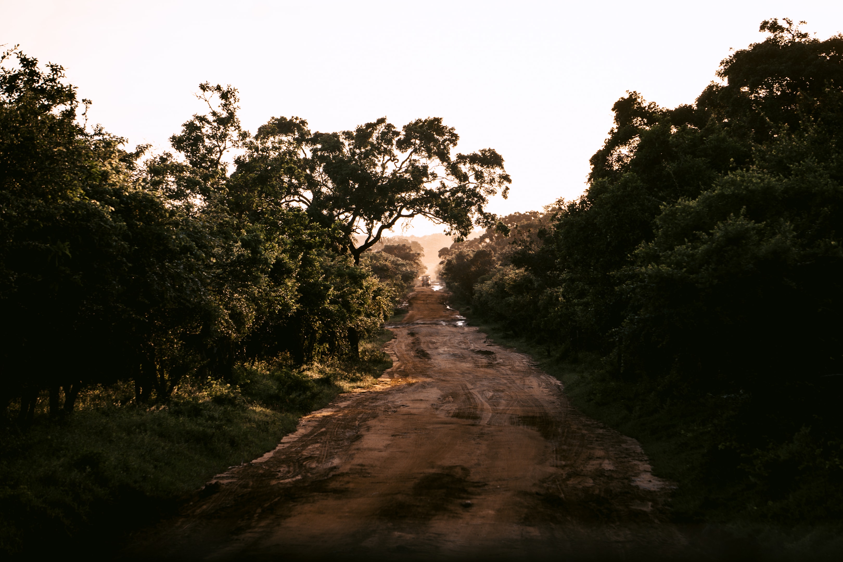 Sunset Drive durch den Yala Nationalpark