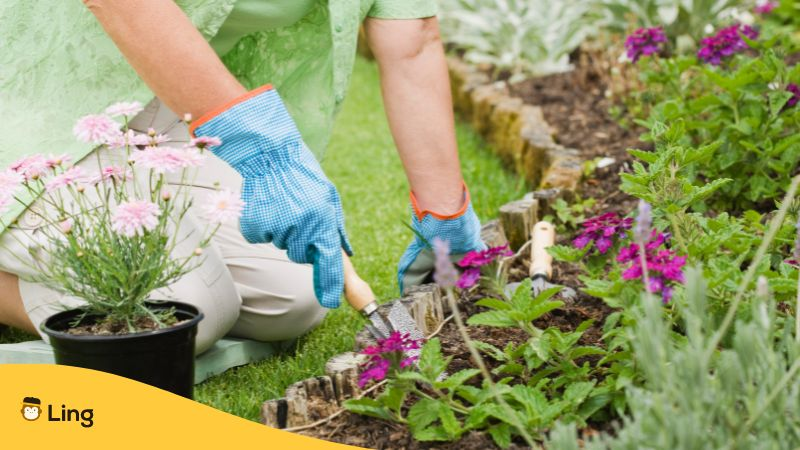 Woman gardening