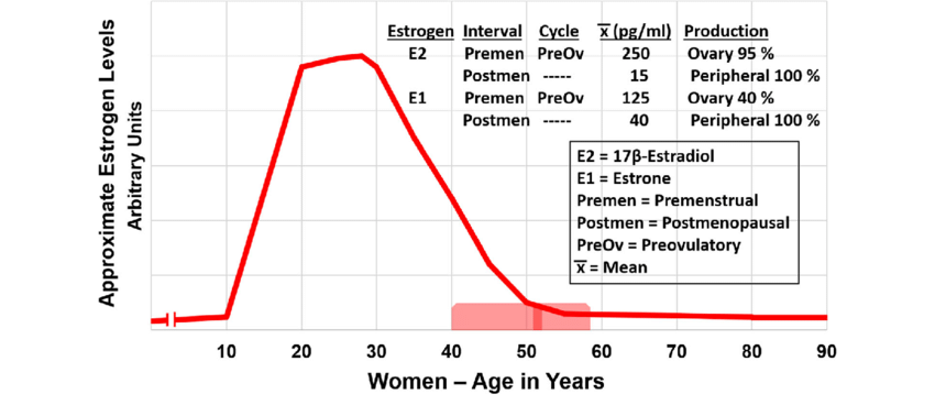 estrogen levels in women by age