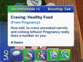 Pregnancy Side Effects