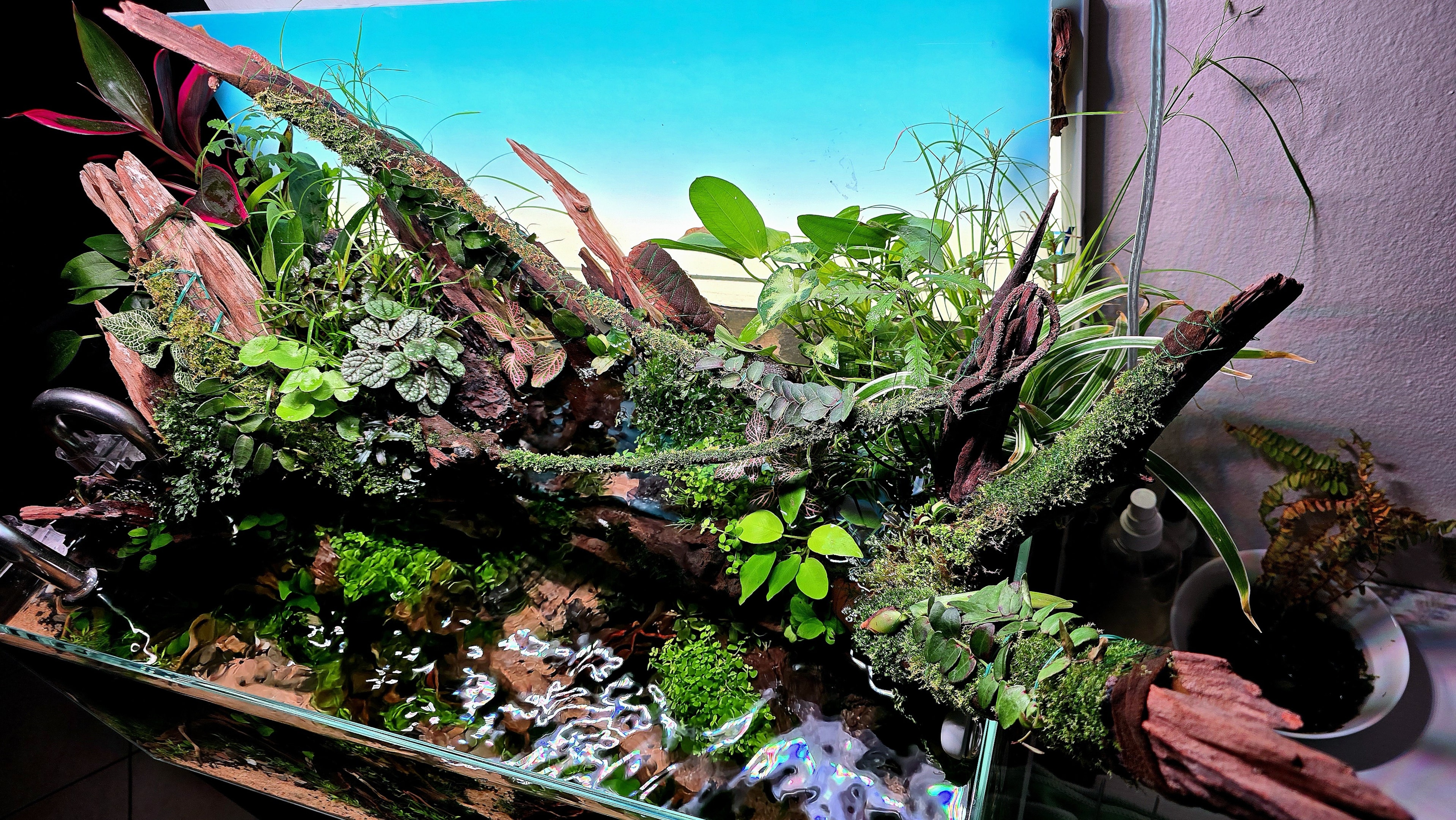 Larger aquariums are heavy so you need to assure stability and safety