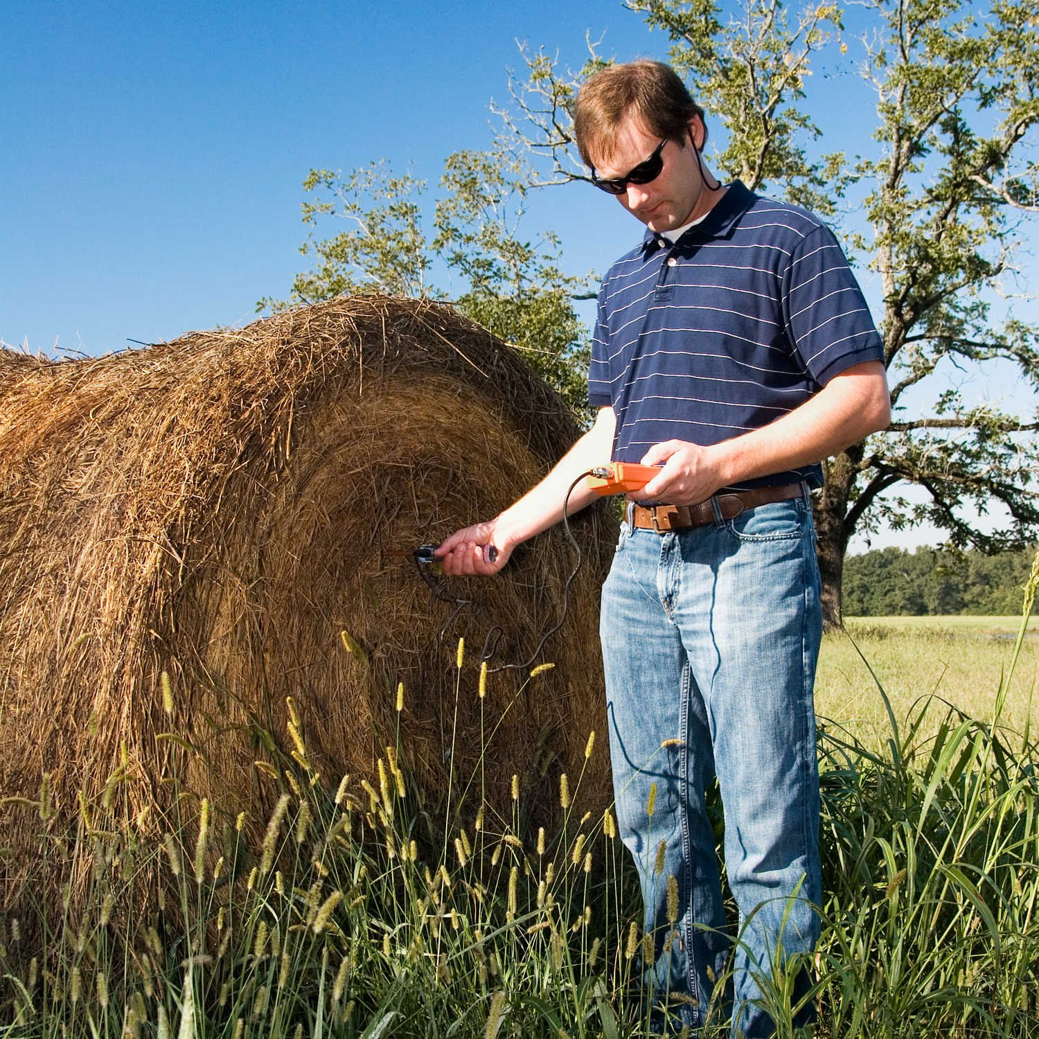 A person holding a hay moisture tester, checking the moisture content of hay