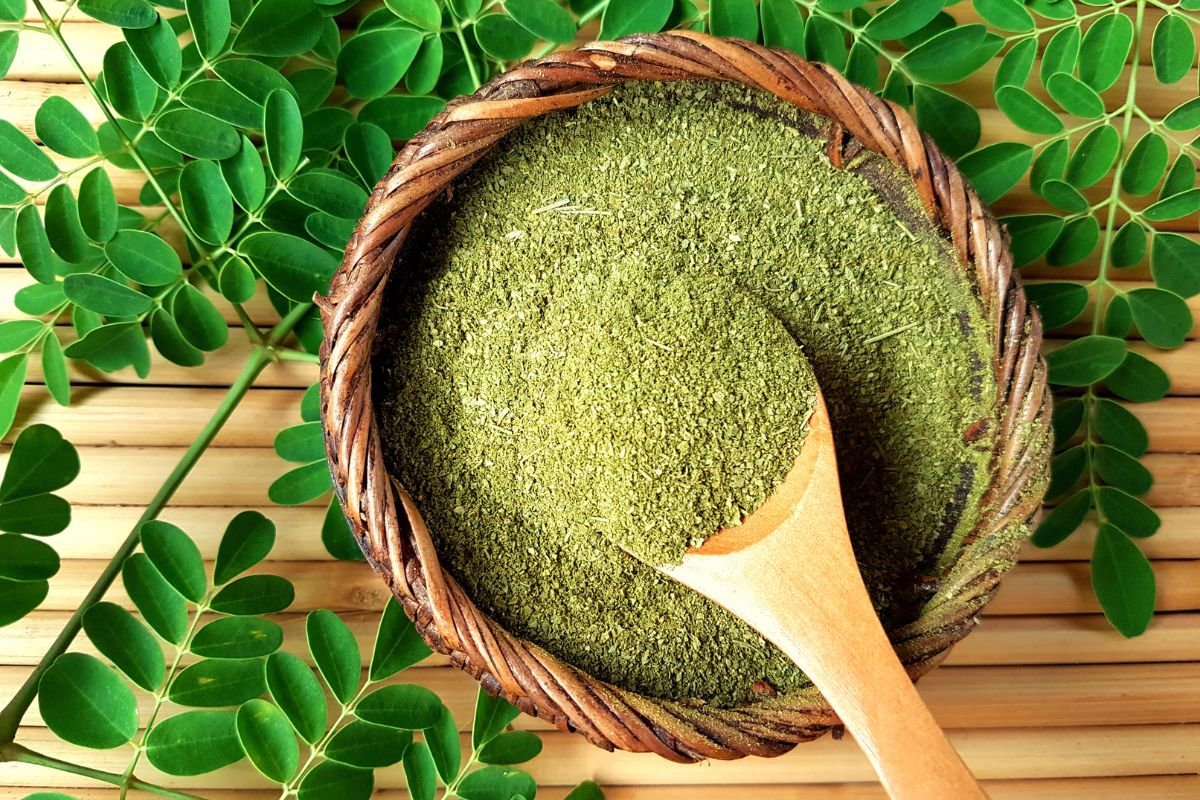 moringa herbal supplement and dietary supplement obtained from moringa trees which contains essential vitamins