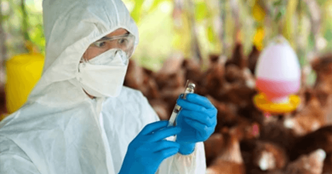 Department of Health and Human Services' Contract to Replace H5N1 Flu Vaccines, $200 Million; GlaxoSmithKline Government Contracts