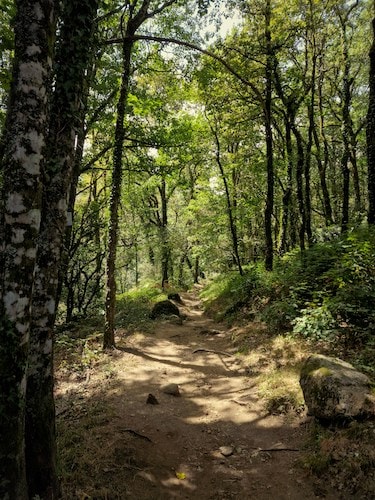 Summer along hiking trails in the Hudson Valley